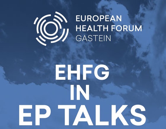 EHFG in EP talks